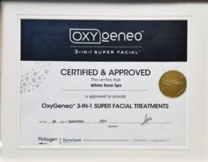 WhatsApp Image 2025-12-20 at 3.49.32 PM (2)